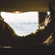 viajar en furgoneta con perros