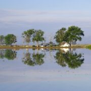 Viaje en furgoneta camper por el Delta del Ebro