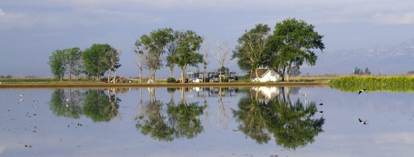 Viaje en furgoneta camper por el Delta del Ebro