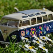decimosexta edicion de la FurgoVolkswagen