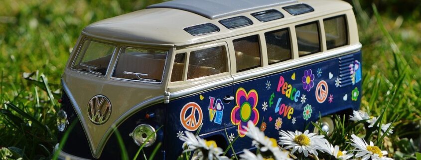 decimosexta edicion de la FurgoVolkswagen